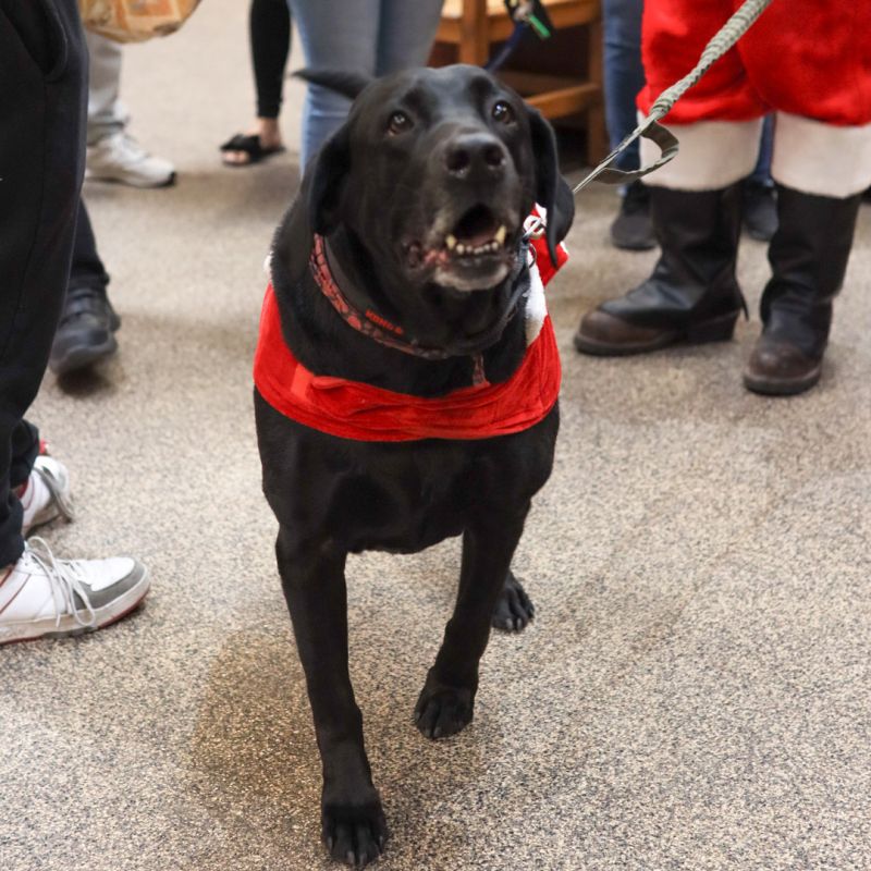 602345090_1272427921589088_4316349802292933664_n