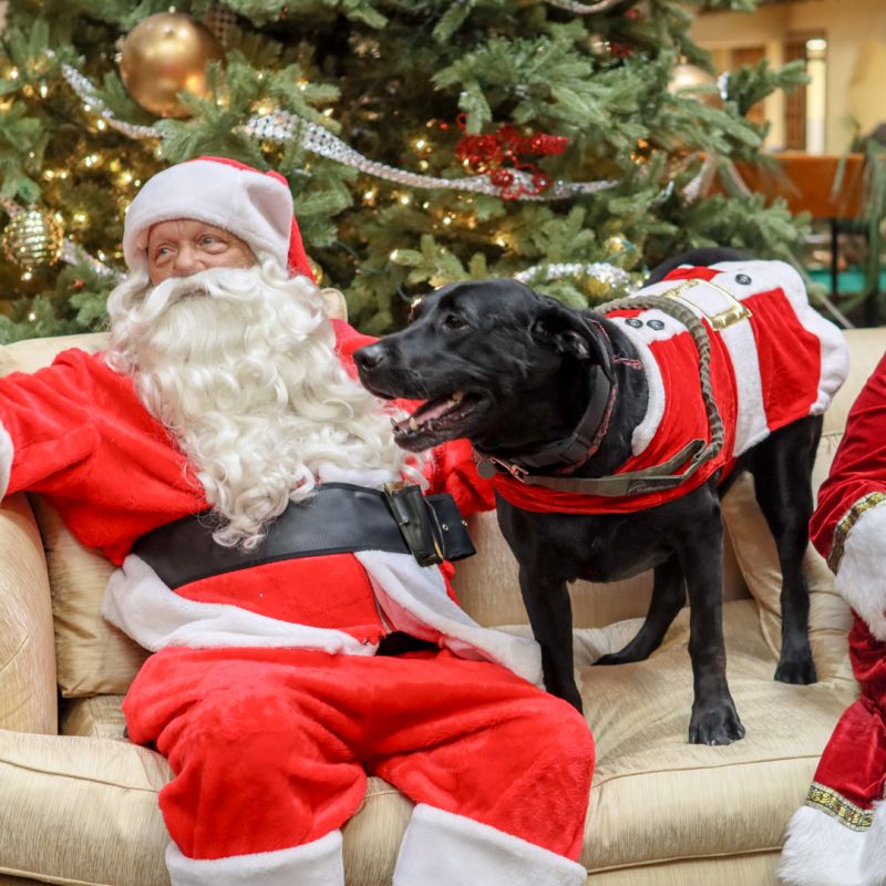 605105931_1272427981589082_4533361087861064836_n