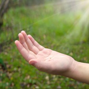 Hand holding small mustard seed