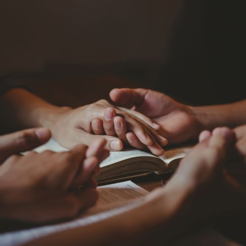 AdobeStock_536214384