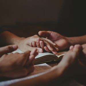 AdobeStock_536214384