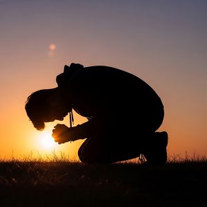 AdobeStock_1995330004